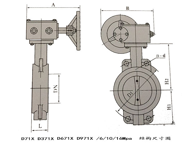 瑞奇閥門_對夾蝶閥結(jié)構(gòu)尺寸圖